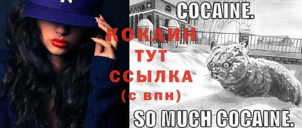 скорость Горно-Алтайск
