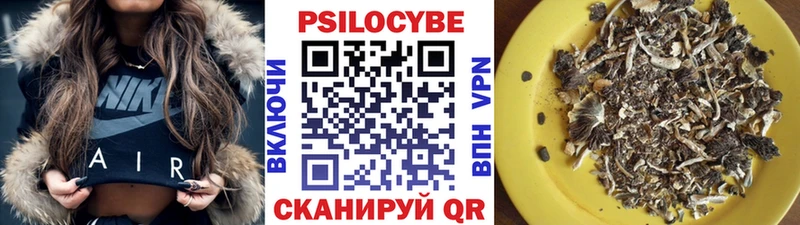 Псилоцибиновые грибы Magic Shrooms  купить  сайты  Гусь-Хрустальный 
