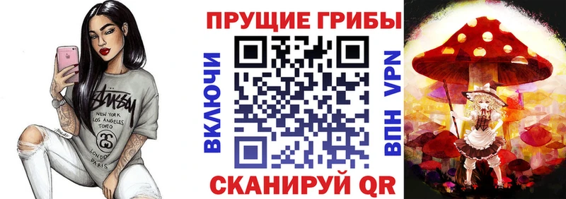 Псилоцибиновые грибы Psilocybe Гусь-Хрустальный